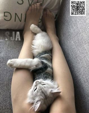 《禁止的爱》_超清神马在线观看